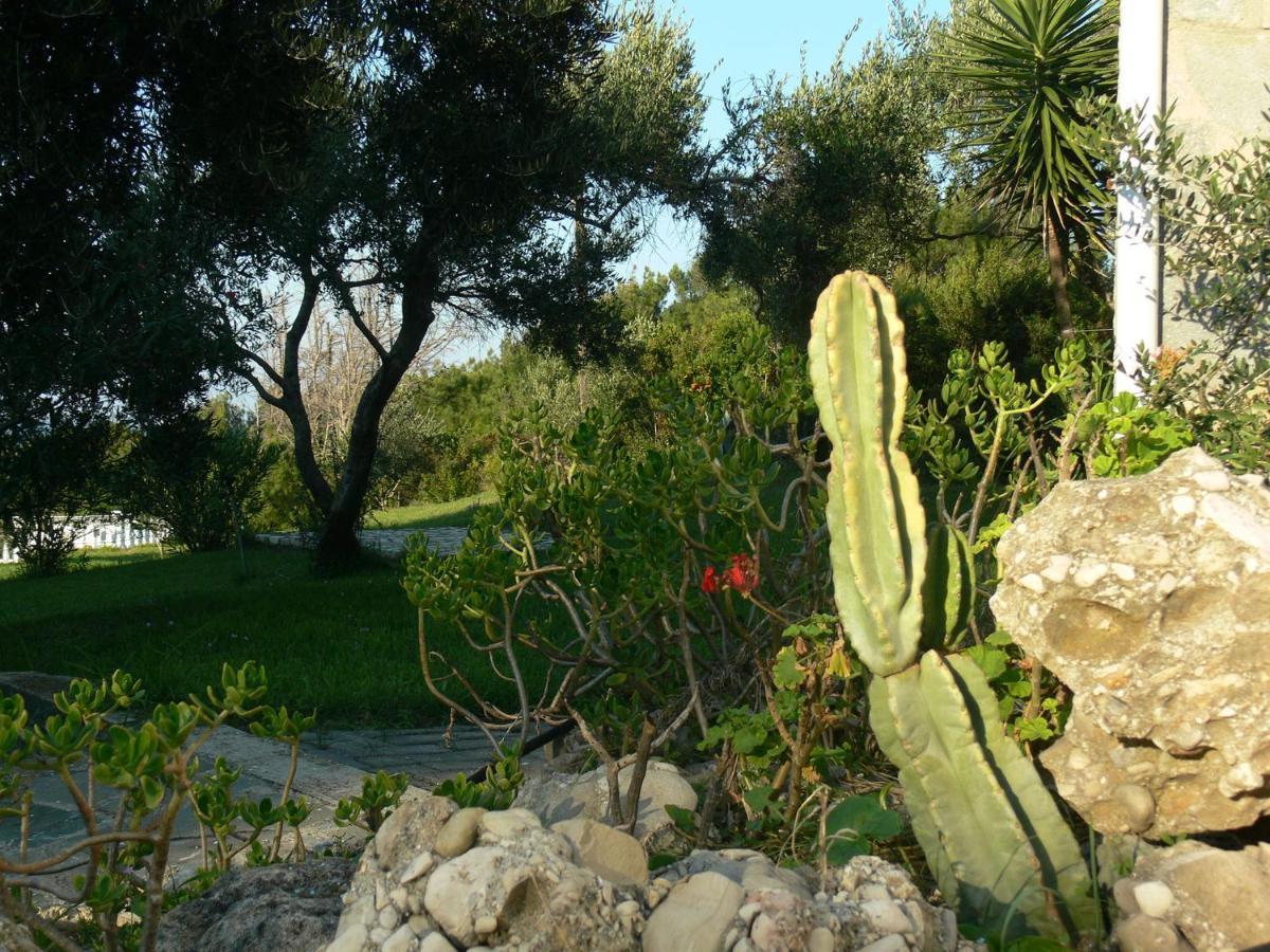 Villa Quietude Agios Stefanos Avliotes  Rom bilde