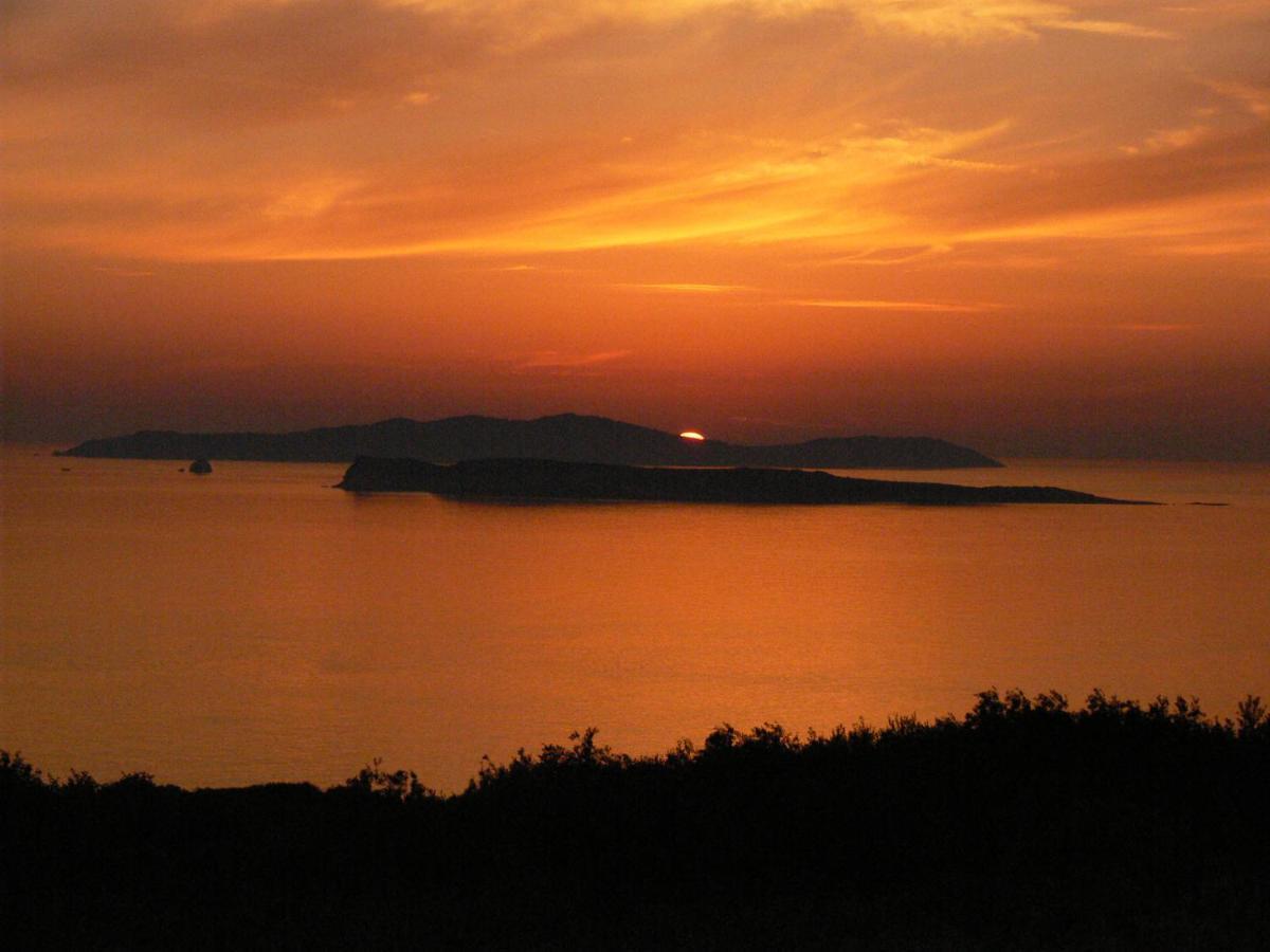 Villa Quietude Agios Stefanos Avliotes  Eksteriør bilde